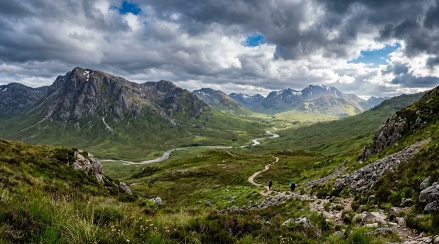Forêt nourricière dense canopée verte